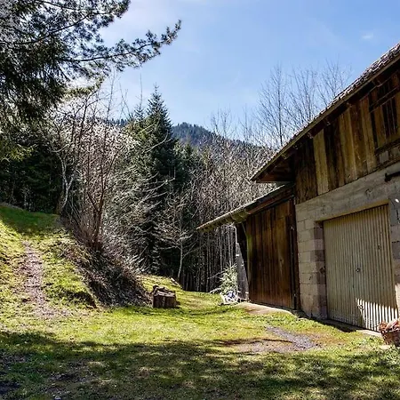 Ferienwohnung Waldeck: Wald Und Sauna Oppenau Exterior photo