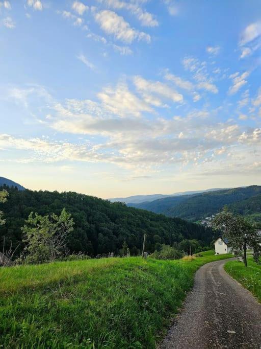 Apartment Waldeck: Wald Und Sauna Oppenau