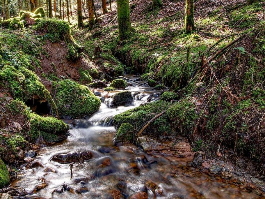 Apartment Waldeck: Wald Und Sauna