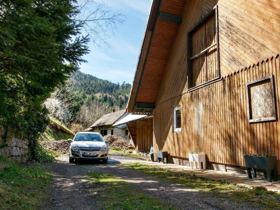 Apartment Waldeck: Wald Und Sauna *