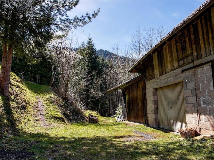 Waldeck: Wald Und Sauna Apartment