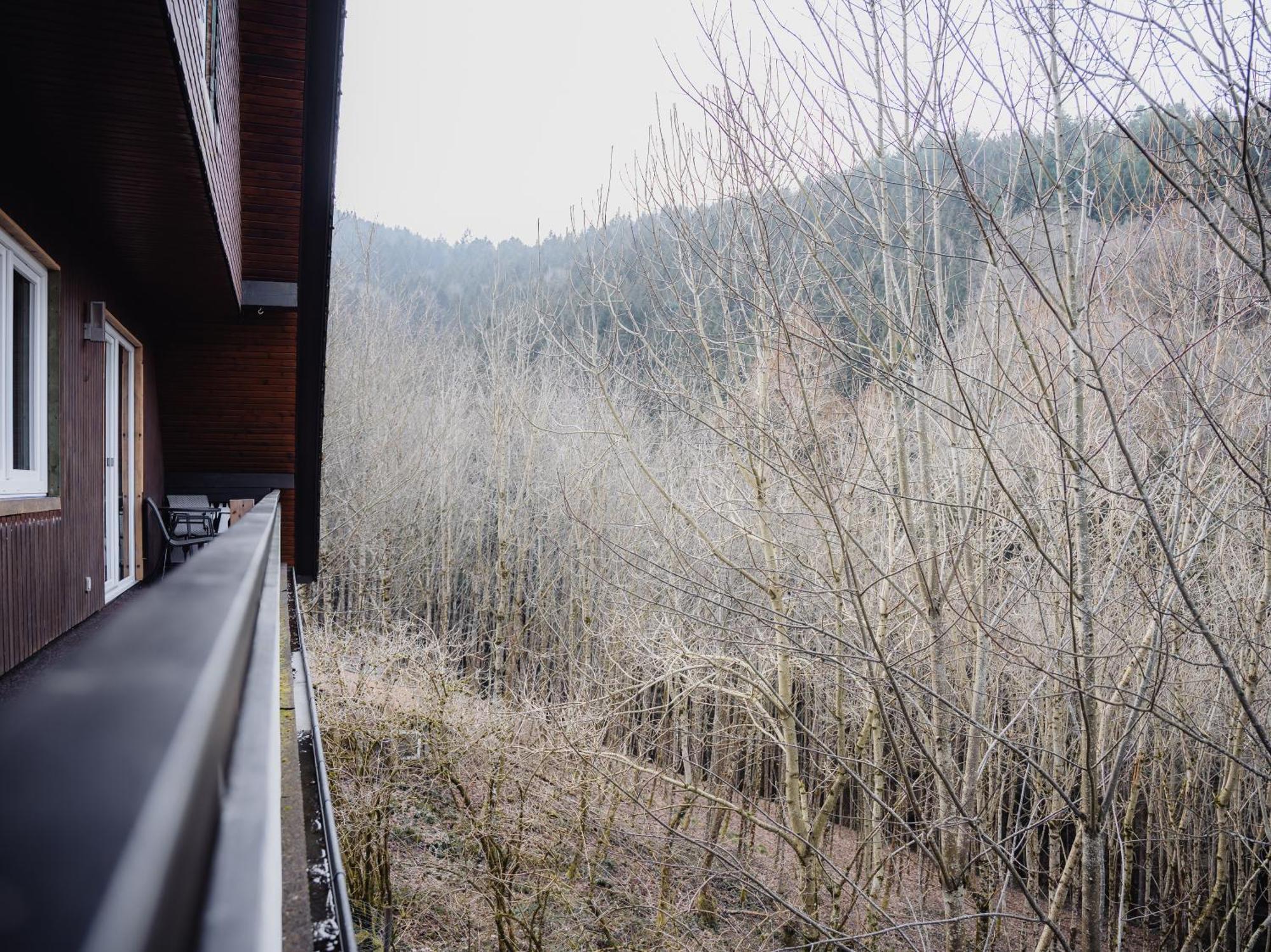 Waldeck: Wald Und Sauna Oppenau